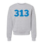 313
