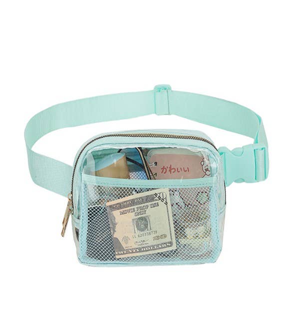 Clear Concert Belt Bag